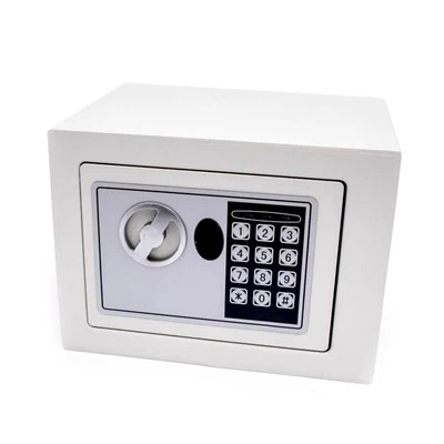 Electronic Safe